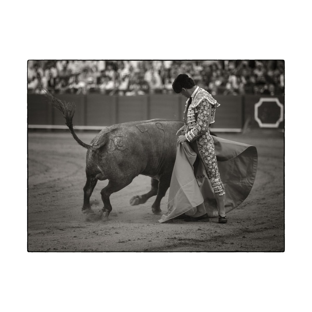 Una media que se quedará marcada para el resto de los tiempos, se me quedo gravada en la retina, pena el mal sabor de boca que dejó Pablo ayer en Sevilla, no cogió el aire a ninguno de sus dos toros, lote con posibilidades y cosas que torear, falta de entendimiento y acople.