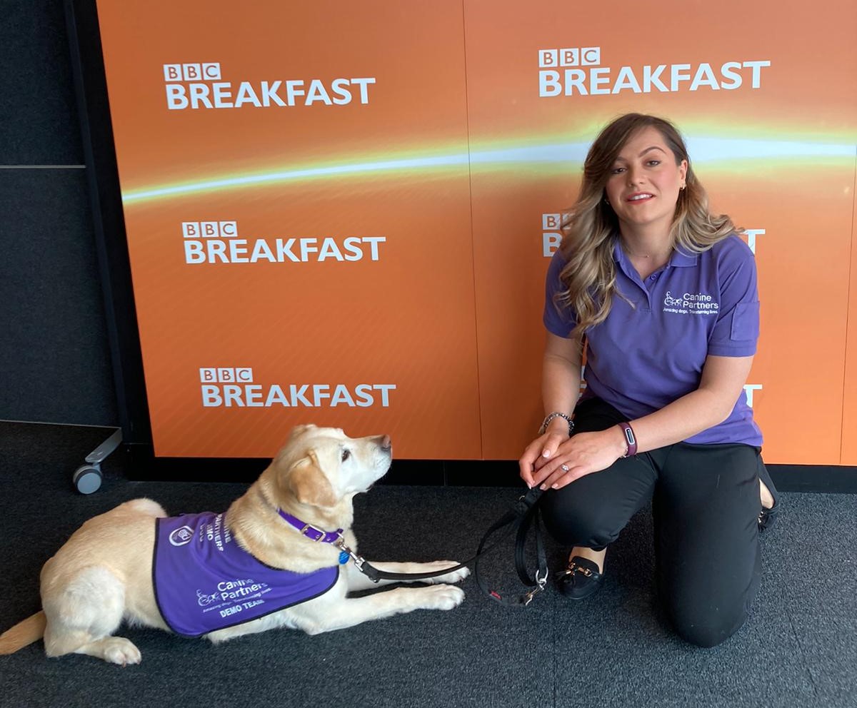 Canine Partners tweet media