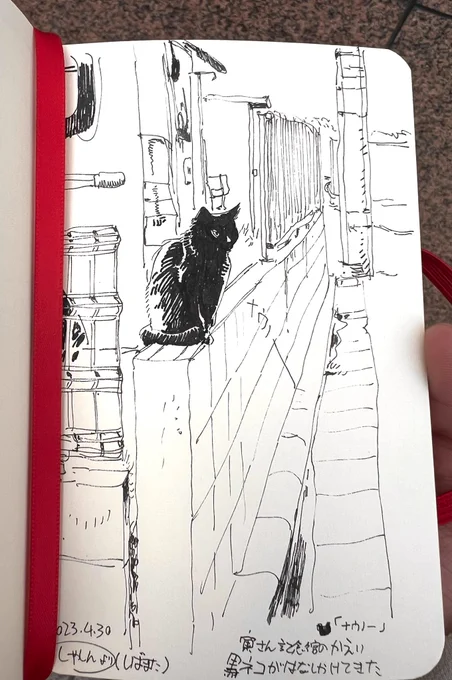 昨日の帰り道、通りすがりの黒猫に2回くらい話しかけられた時の絵。写真から描き起こしてみた。