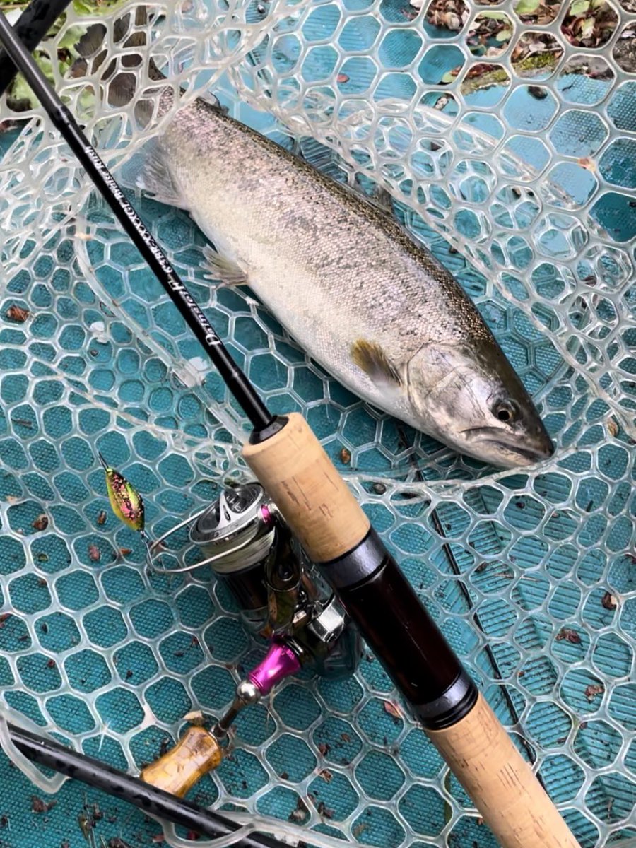 7seven7star7's tweet photo. 本日は労働者の祭典…
メーデー・ニレ池釣行🎌
カッコいいサクラマス💚💖
ありがとう🐟✨
#管釣り #エリアトラウト
#白馬八方ニレ池
#Valkein #HIBURST #Tsulino
#日々好調不調を繰り返す体
#癒しの時はもちろん https://t.co/jXajTSsBol