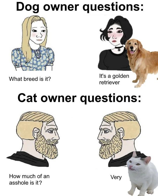 WholesomeMemes (@wholesomememe) on Twitter photo 