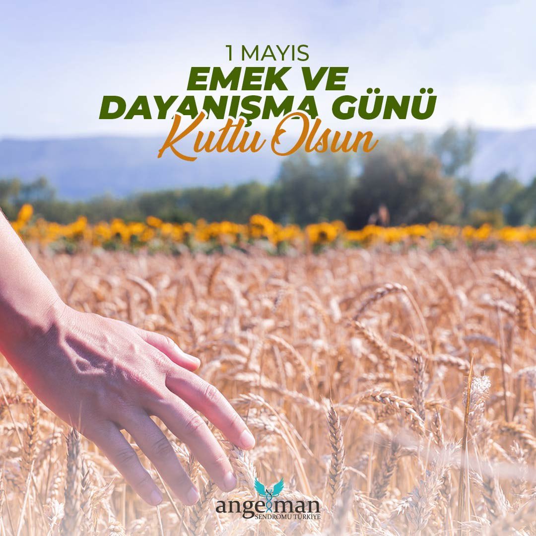Angelman_TR's tweet photo. 1 Mayıs Emek ve Dayanışma Günü Kutlu Olsun💙 

#angelmansendromu #1mayıs https://t.co/PfuVTVPnh4
