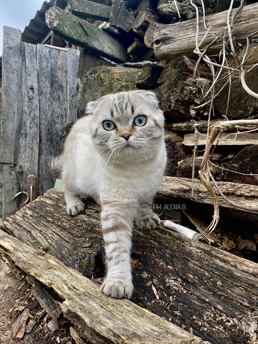☁️ моя самая фотогеничная модель!