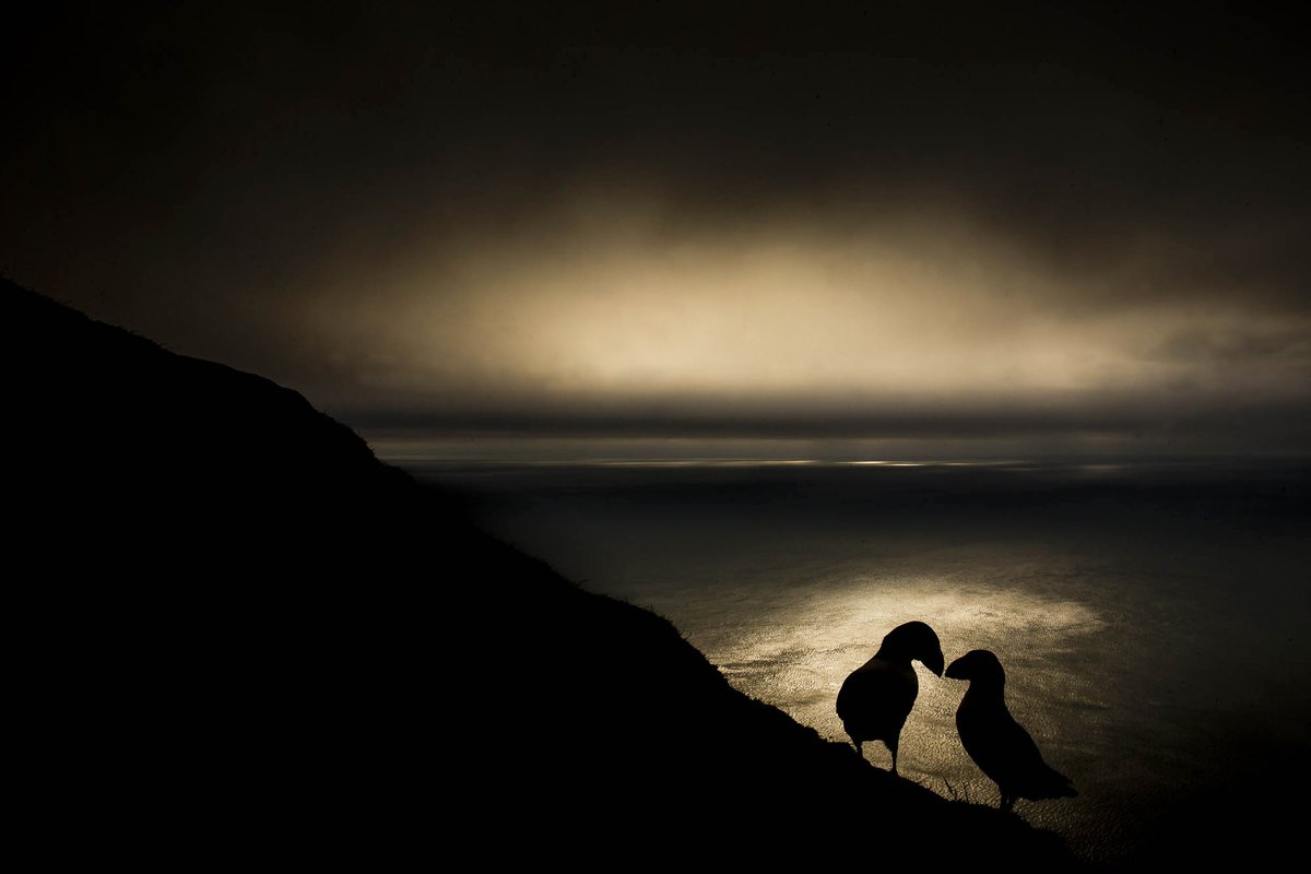 KevMorgans tweet media