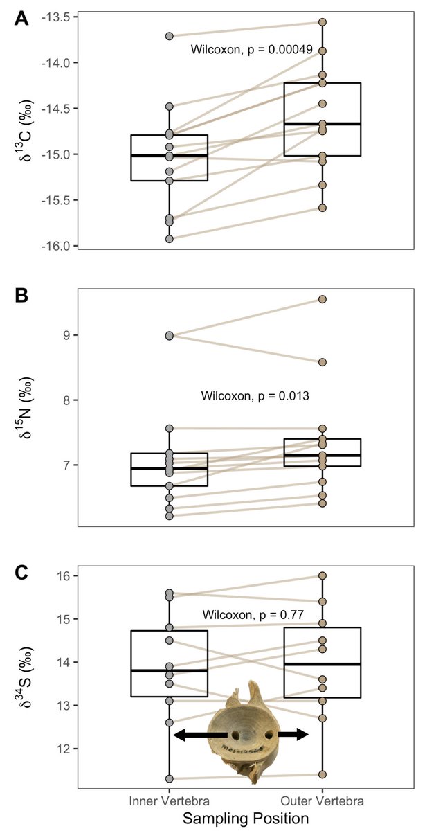 Adam J. Andrews tweet media