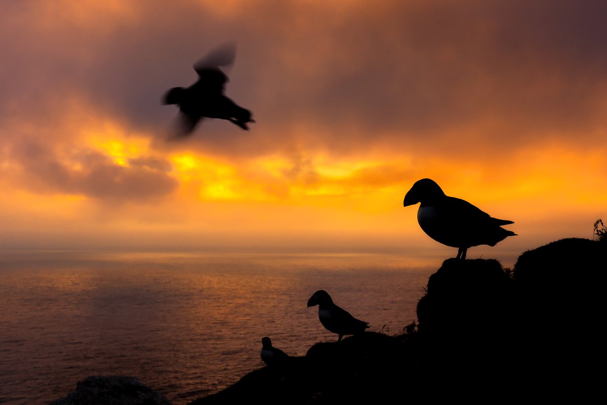 KevMorgans tweet media