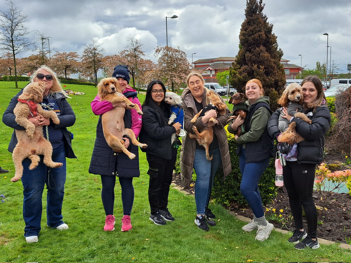tynderstowers's tweet photo. Our canine comrades #RCNStrike #teamsthk https://t.co/n8bzqCqggu