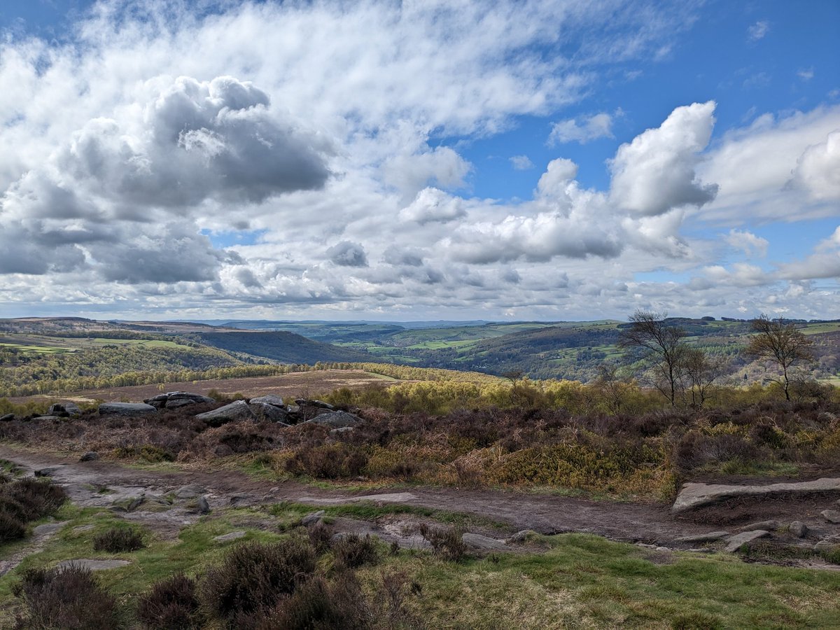 James Tomlinson tweet media