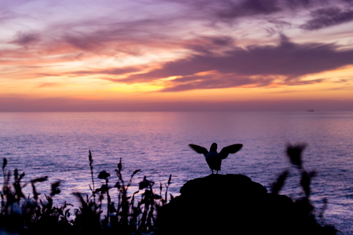 KevMorgans tweet media