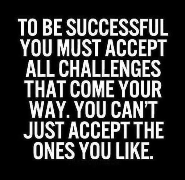 Alli Greer tweet media