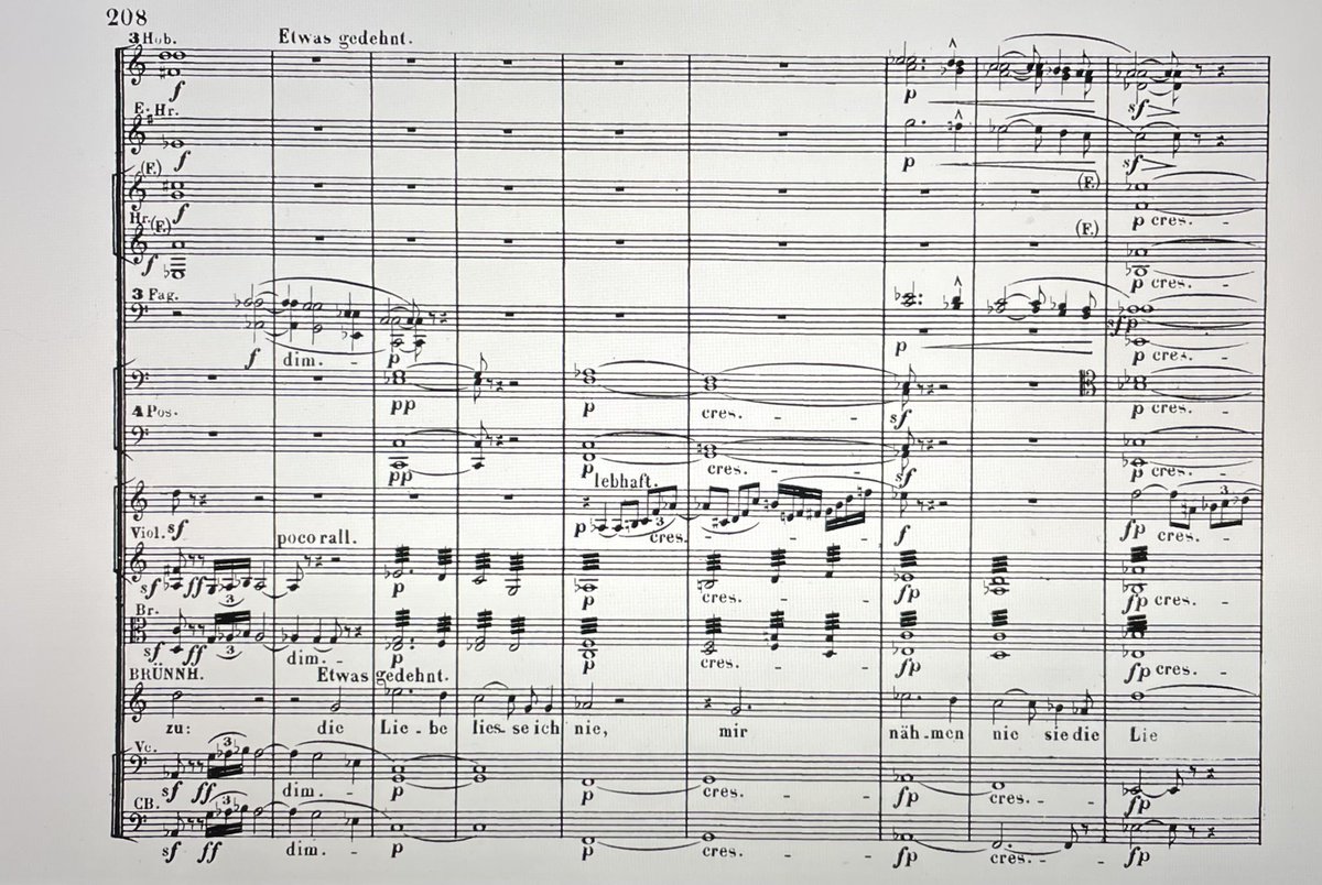 cle_mao_takacs's tweet photo. « ... die Liebe ließe ich nie,
mir nähmen nie sie die Liebe, ... »
#Wagner #DerRing #Götterdämmerung #Brünnhilde https://t.co/hiNYC4ys9N