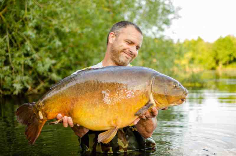 carperslog's tweet photo. ❗Catch Report❗

🐟Mirror
🎣View : https://t.co/POXK6JPilh

👬 @franksleads
🍪 @stickybaitsofficial
📱 Shared via @CarpersLog App 

🏷#carpfishing #carpcatchreport #carp #carpcatch #carpfishinglog #carpy #fishing #carperslog #MirrorCarp

📸 https://t.co/DR85EG25KG