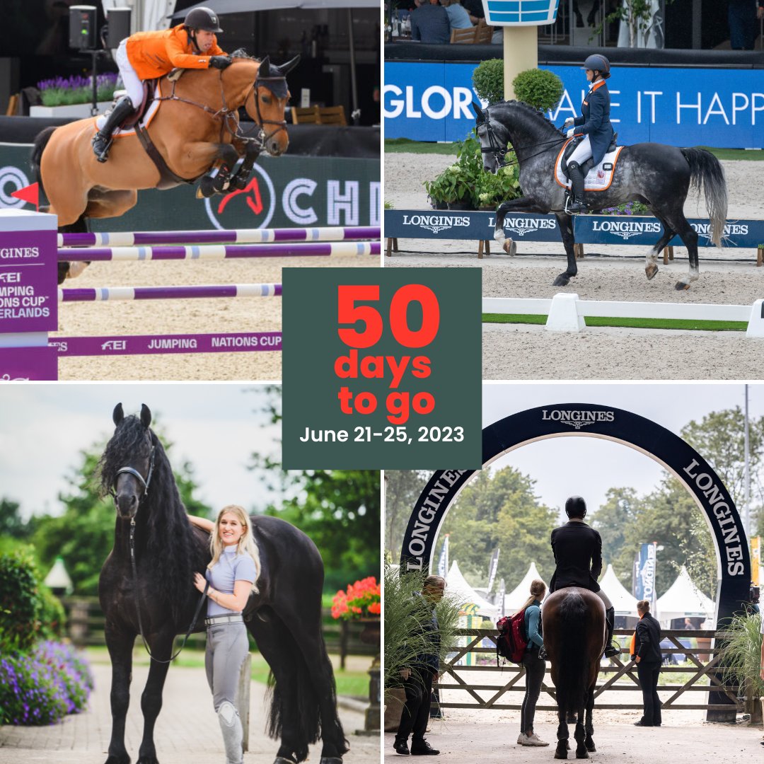 chiorotterdam's tweet image. 50 days to go!

#chiorotterdam #dressuur #springen #dressage #jumping