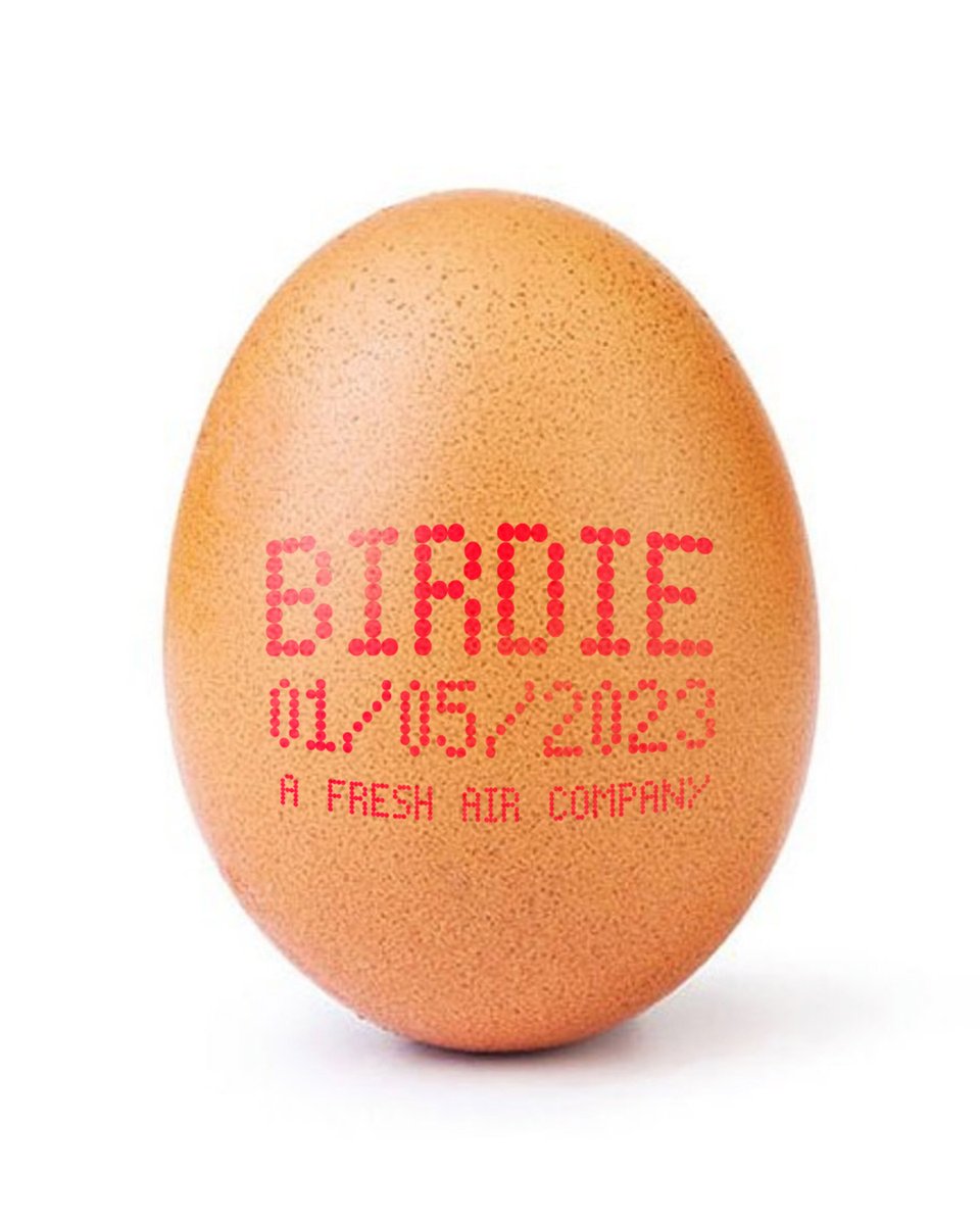 birdie__design's tweet photo. egg-citing news! #newname https://t.co/IwBsD7kxrl