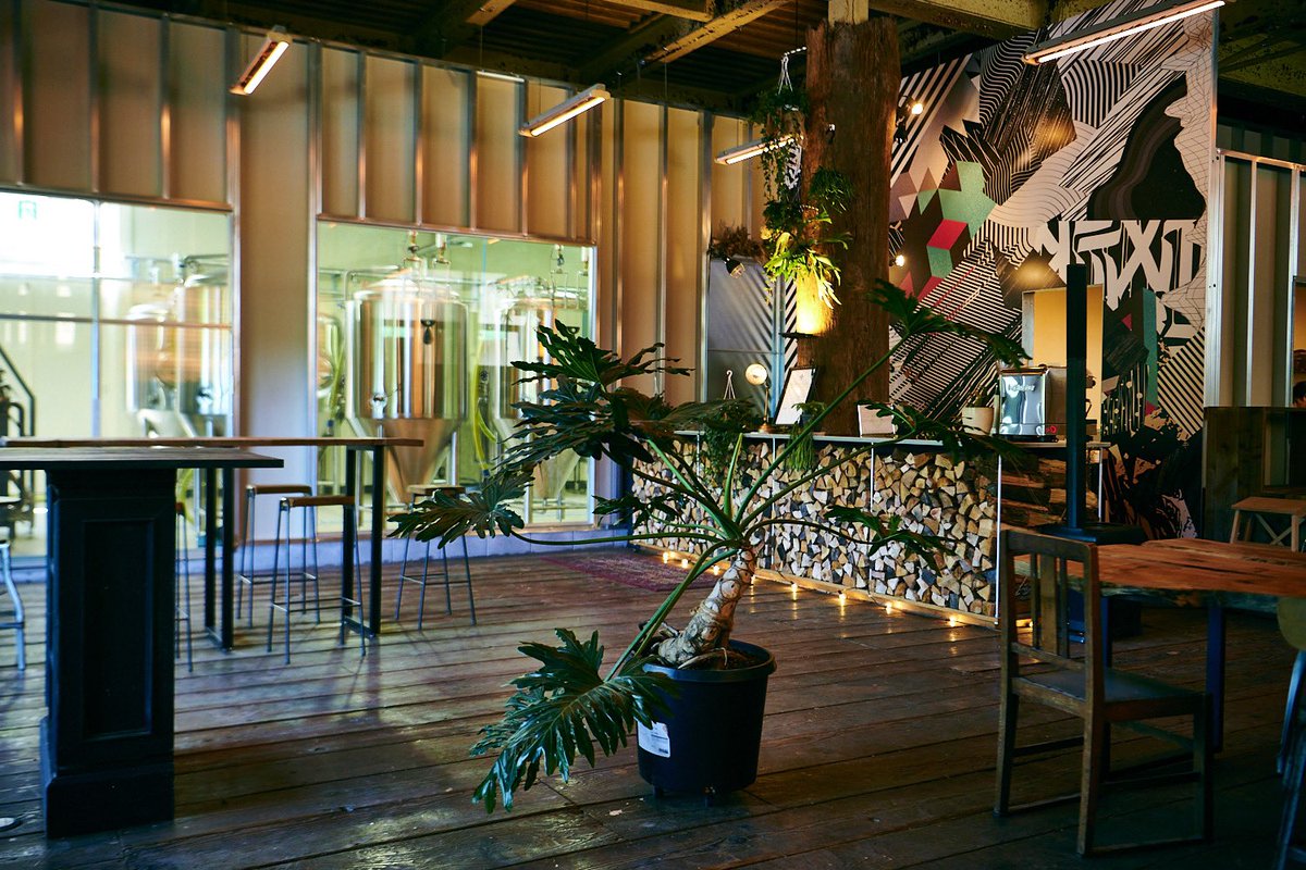 森大地 Teenage Brewing/downyサポート/Aureole/NEPO/ヒソミネ tweet media