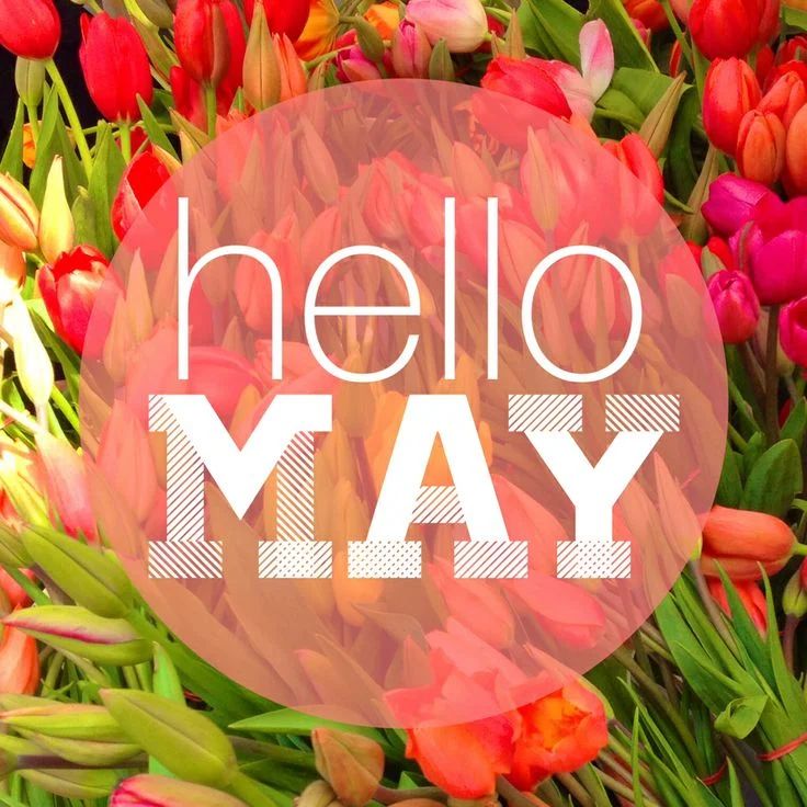 Hello May.