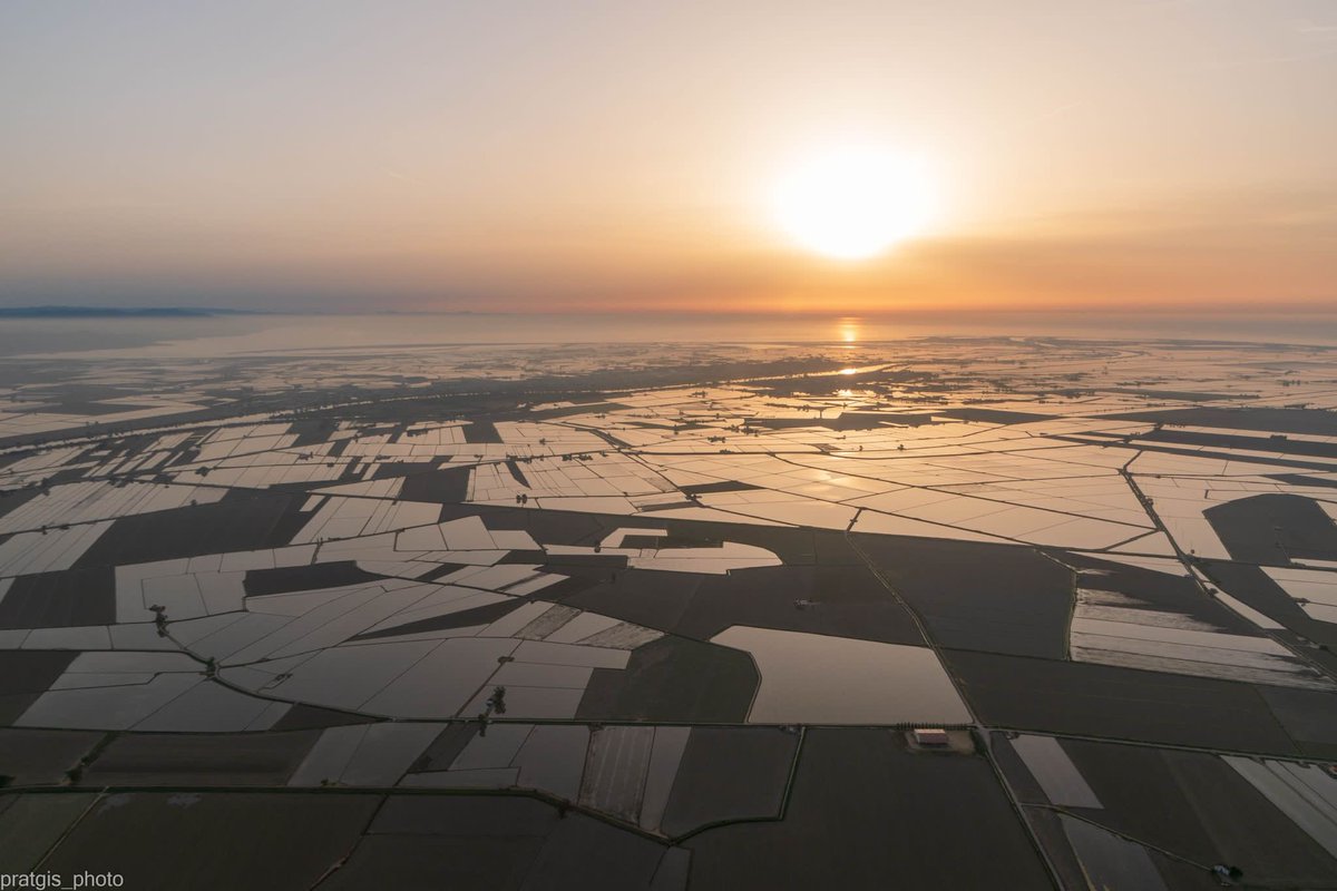 sommolde's tweet photo. El passat 28 d’abril, les Comunitats de Regants del Delta van iniciar la campanya de reg. Fins ara, era el dia de més alegria per la gent que vivim i estimem el Delta. https://t.co/QITtKPWhia