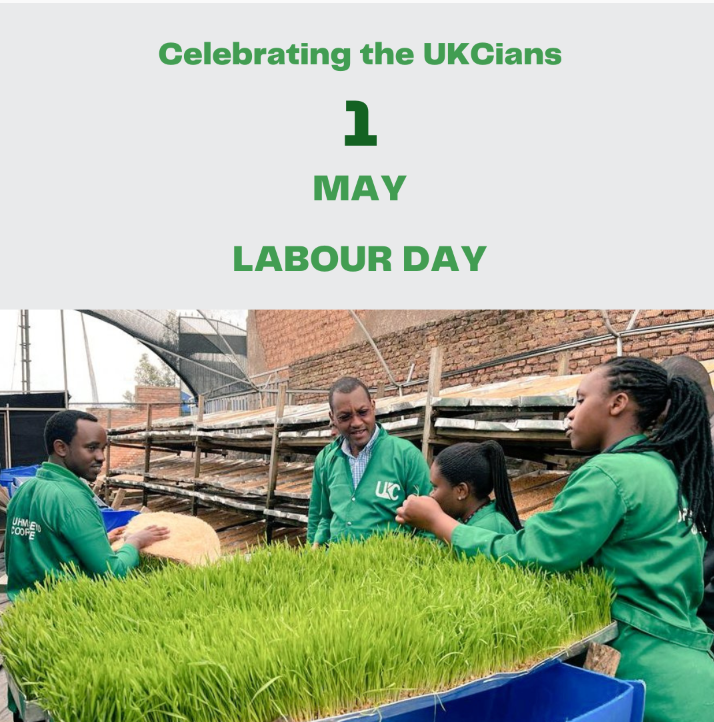 #UKC wishes everyone a happy International Labour Day.

'Let's promote skills, productive and decent jobs for our common better future'. 

#Kazimbele #HydroponicFodder #LaborDay2023