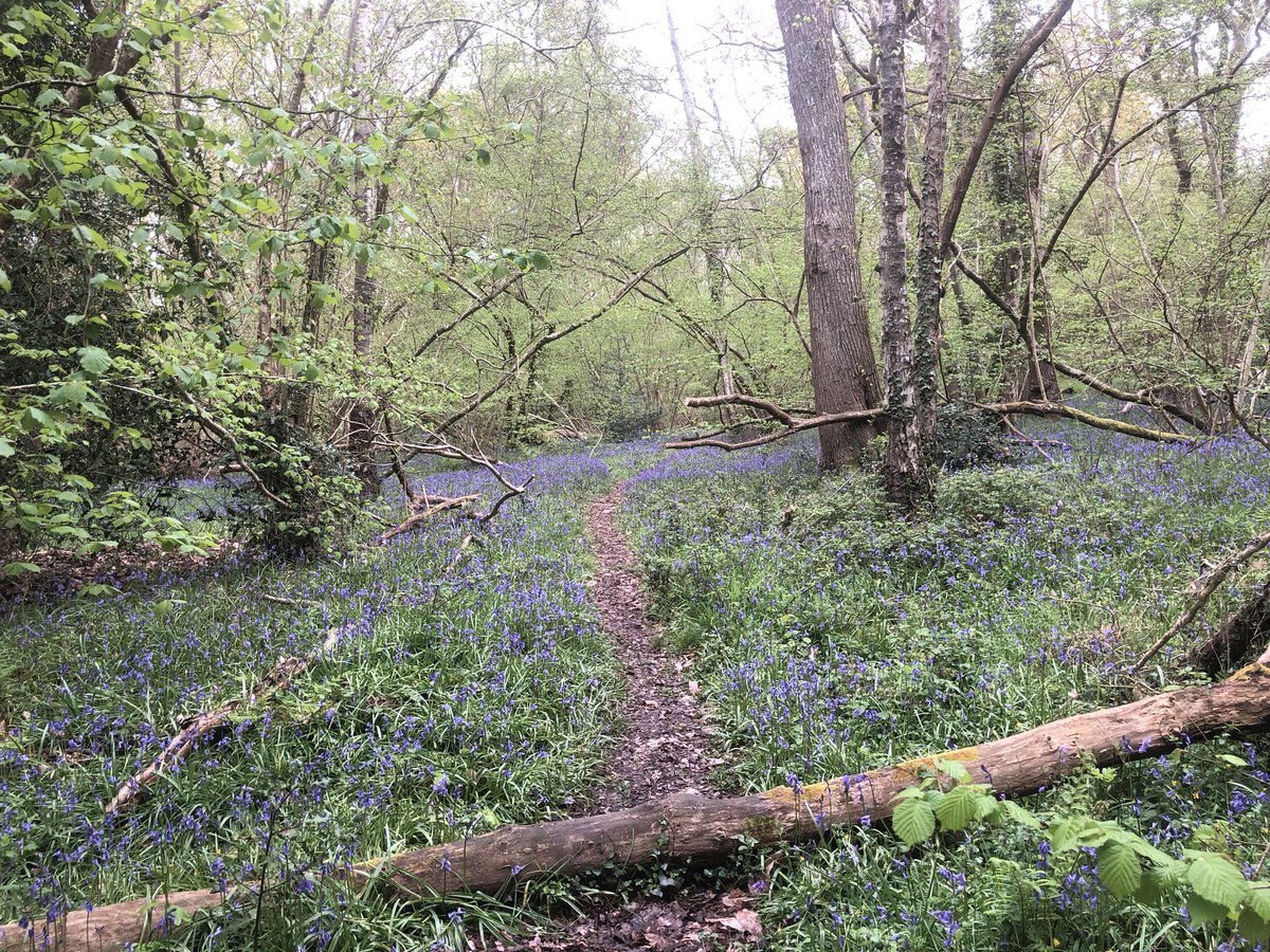 Happy May Day from Binsted 🌸