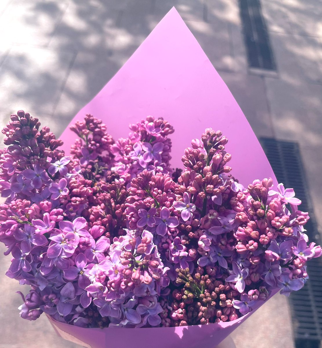 NToxiclatte's tweet photo. #spring 
#SpringVibes
#flowers
#Coffee https://t.co/JQimUraujE