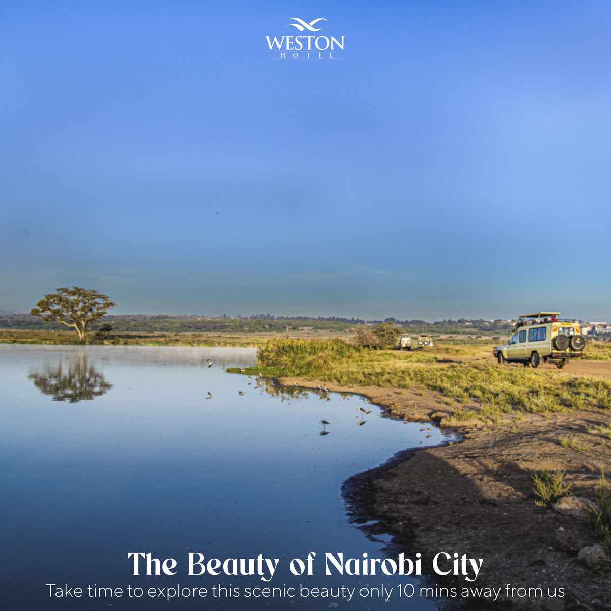 weston_hotel's tweet photo. Here is yet another reason to spare some time and discover Nairobi. When you stay with us, this spot is only 10 mins away. The real great outdoors.
#citybreak #ToursToGo #Safari https://t.co/xdVRQjkkL0