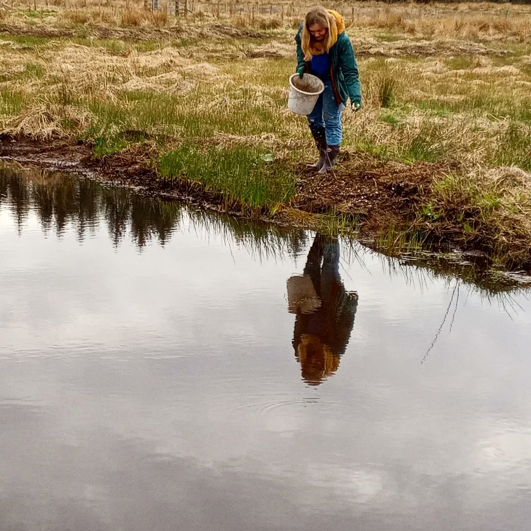 Borders Forest Trust (@bordersforest) on Twitter photo Great to see Charlotte from <a href="/BuglifeScotland/">BuglifeScotland</a> and our volunteers scattering locally sourced seed from <a href="/ScotiaSeeds/">Scotia Seeds</a> around our wetland scrapes. The willow whips planted earlier this spring have taken off and we've also registered the site with <a href="/_BTO/">BTO</a> for WeBS surveys. It's all go! Great to see Charlotte from <a href="/BuglifeScotland/">BuglifeScotland</a> and our volunteers scattering locally sourced seed from <a href="/ScotiaSeeds/">Scotia Seeds</a> around our wetland scrapes. The willow whips planted earlier this spring have taken off and we've also registered the site with <a href="/_BTO/">BTO</a> for WeBS surveys. It's all go!