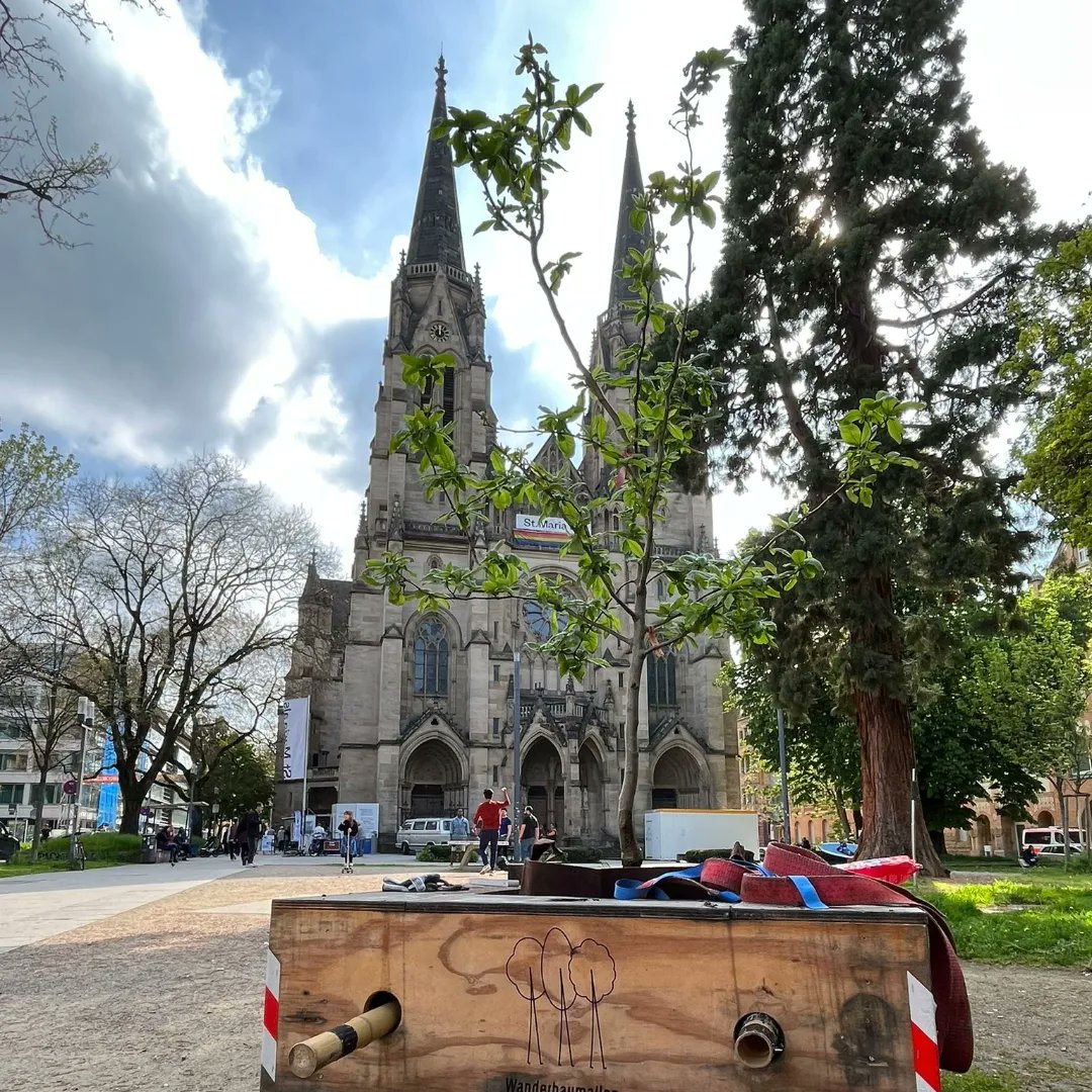 wanderbaumallee's tweet photo. Seit Samstag stehen wir Wanderbäume vor #stmaria in der Tübinger Straße. Kommt vorbei auf ein Schwätzchen, auf ein Eis, auf Frühling genießen! In den kommenden Wochen werden wir hier die Module noch etwas umbauen und ihnen etwas Farbe gönnen! https://t.co/lAsyKUgVhT