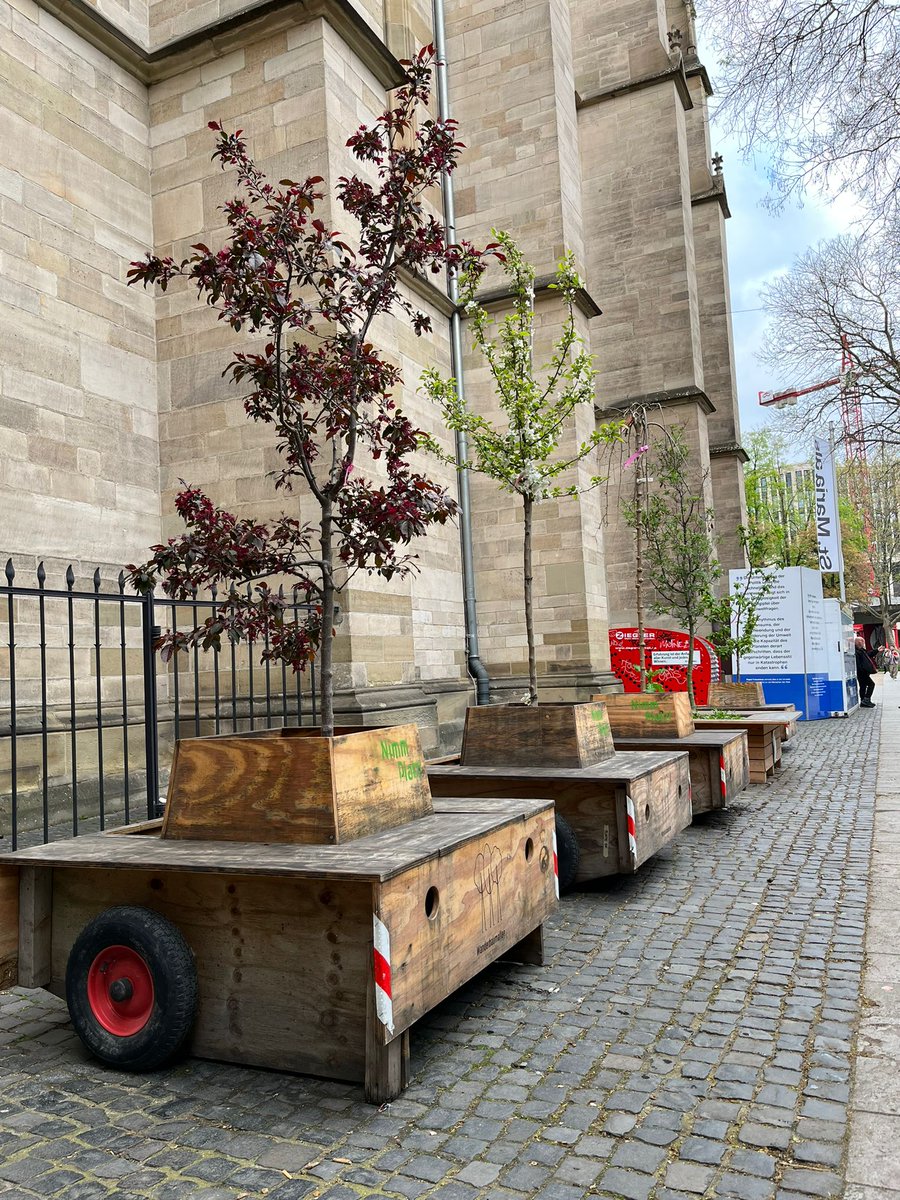wanderbaumallee's tweet photo. Seit Samstag stehen wir Wanderbäume vor #stmaria in der Tübinger Straße. Kommt vorbei auf ein Schwätzchen, auf ein Eis, auf Frühling genießen! In den kommenden Wochen werden wir hier die Module noch etwas umbauen und ihnen etwas Farbe gönnen! https://t.co/lAsyKUgVhT