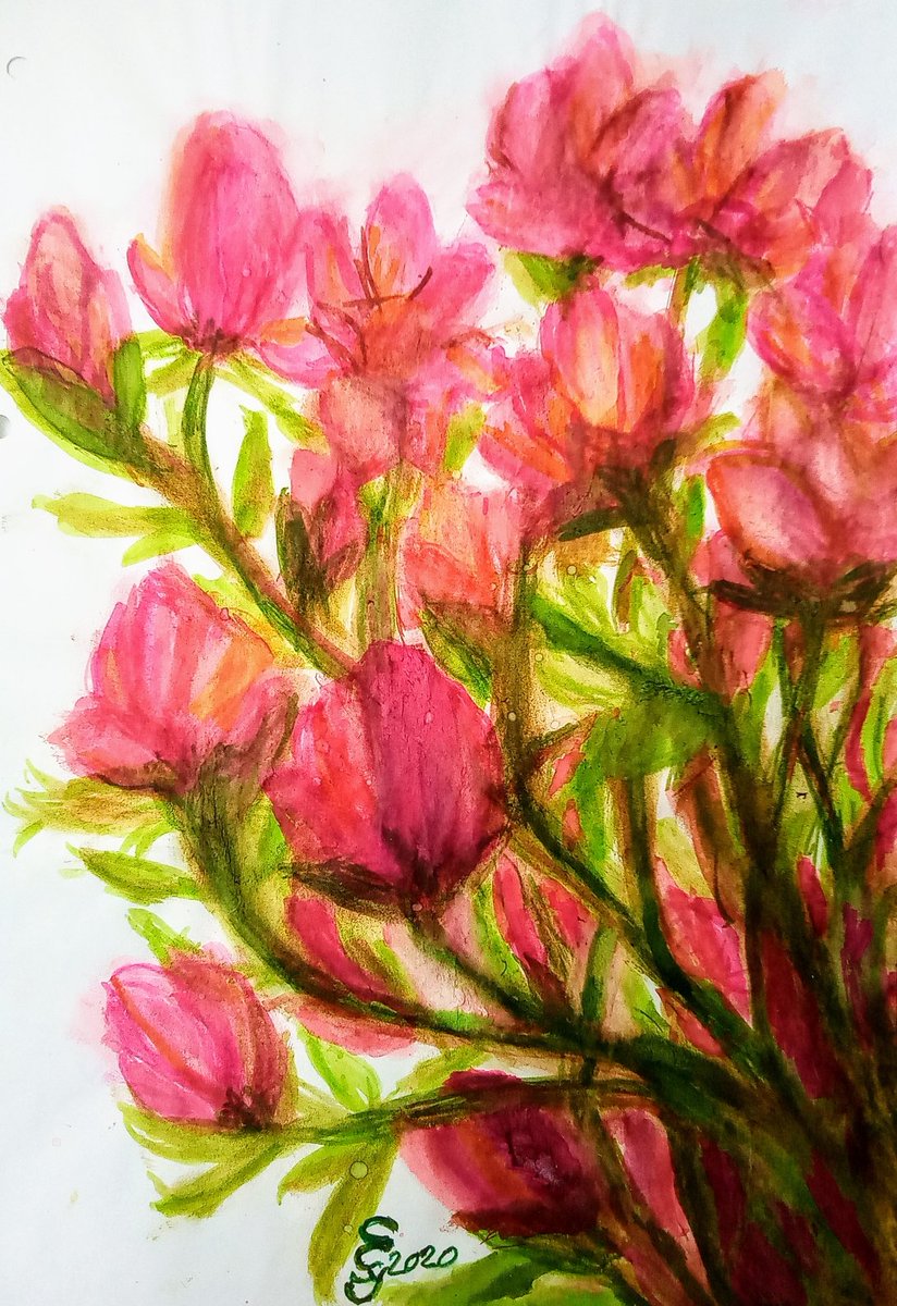 SyllaCarmen's tweet photo. Moin Ihr Lieben 🖌️🌈❣️
@kunstklasse #kleineKunstklasse #spring #springflowers #aquarell #lieblingsschaetzchen #makeartnitwar #JoyTrain #artistsontwitter #ArtistOnTwitter 
Magnolien sind für mich ganz besondere Frühlingsboten!
Hier ein Lieblingsschätzchen aus meinem Archiv.
!B https://t.co/J9fHuIHoTp