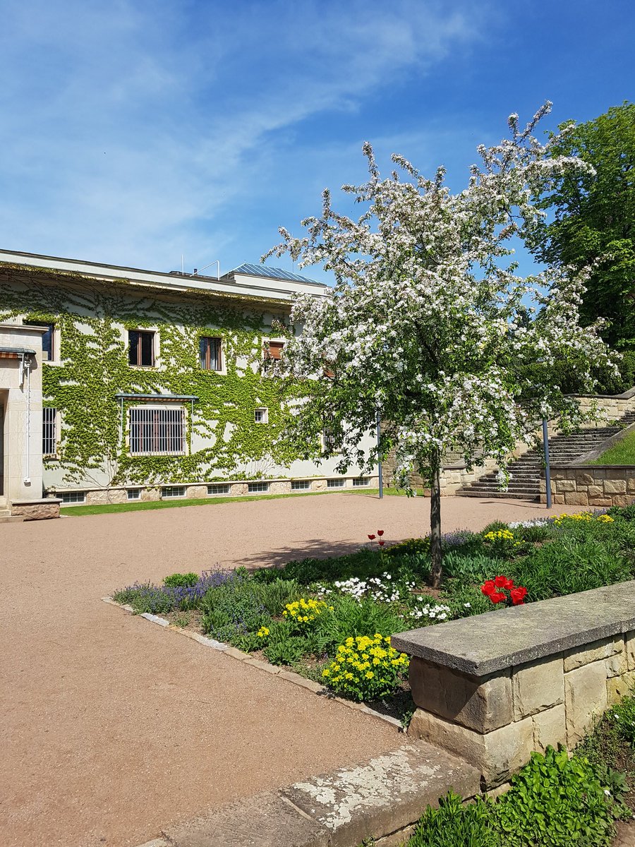 And today the Villa Stiassni, where the family lived only nine years before escaping to London on 1938.