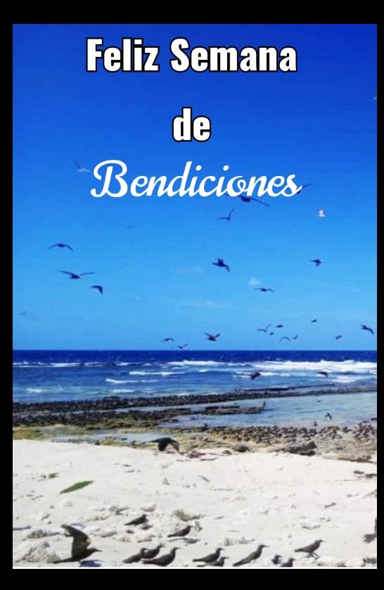 Desde la parte más septentrional de la Patria Venezolana te deseamos una ¡Feliz Semana! Que tus días lleguen con muchas bendiciones 🙏
¡Arriba ese ánimo y buenas expectativas!

<a href="/JoseRafaelbenc2/">Topógrafo. JOSÉ ꃳEꋊꉔOMO Comunicador Popular</a> 
<a href="/quiskillosa/">Quiskillosa</a> 
<a href="/mairimharry1/">Soy Irreverente</a> 
<a href="/rinconero43/">#ChavistaRadical</a> 
<a href="/PInsomne1/">🌼 Pupila Desib🌼 🇻🇪🇳🇮🇨🇺</a> 

#TrabajoYPatria