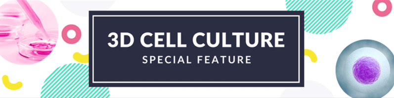 BioMed_21's tweet photo. 💡 Check out these awesome resources from @SelectScience to learn how #AI based analysis is speeding up #cancer research, get insights with automated culturing, transition to #3Dcell models, use matrix #hydrogel for 3D culture, and more! 👇🧪🧬
https://t.co/Pkiy2d9gmv https://t.co/BlZfu4BPUA
