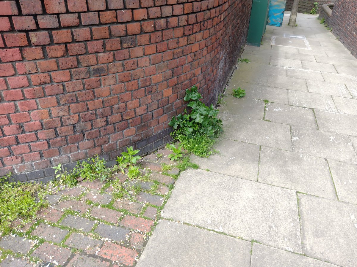 LouiseLev3's tweet photo. @Royal_Greenwich gallon close se78sy??? https://t.co/qfSgw7z44S