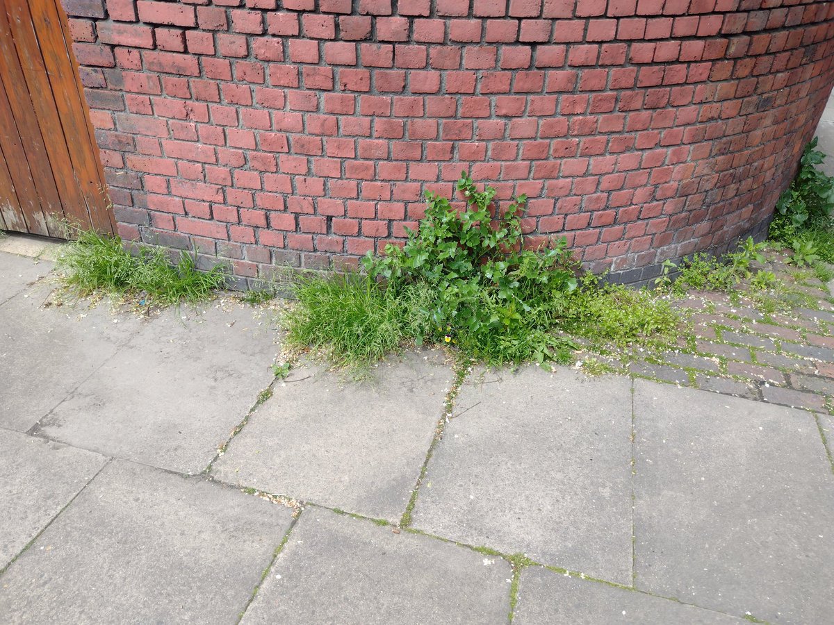 LouiseLev3's tweet photo. @Royal_Greenwich gallon close se78sy??? https://t.co/qfSgw7z44S