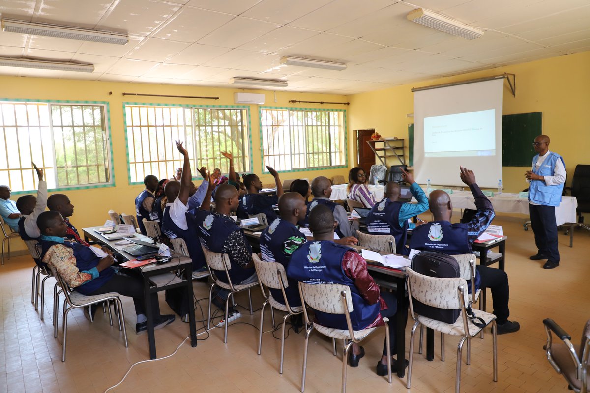 FAOGuinee's tweet photo. Après la formation de 11 formateurs ISAVET niveau de base, #ECTADGN &amp; #REDISSE renforcent les capacités de #20_mentors au #CFEL de #Labé, pour #encadrement des stagiaires ISAVET de niveau de base.
@USAID
@FAOLivestock 
@FAOemergencies 
#OneHealth https://t.co/I95DIYkhKw