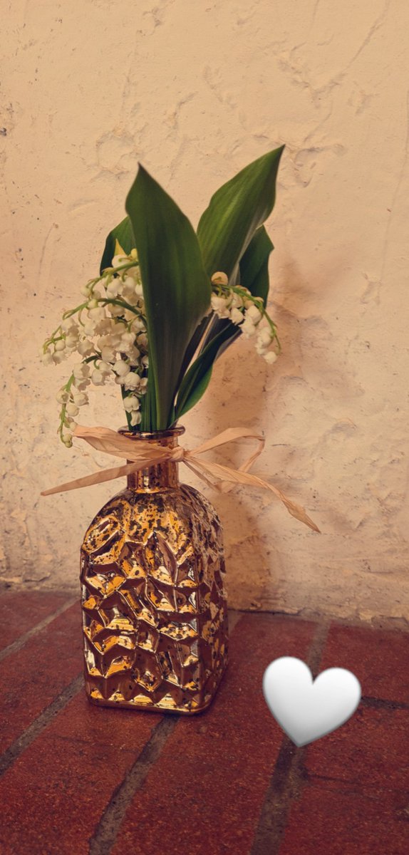 ElodieBouch's tweet image. Joyeux #1er mai en #Comminges 💮