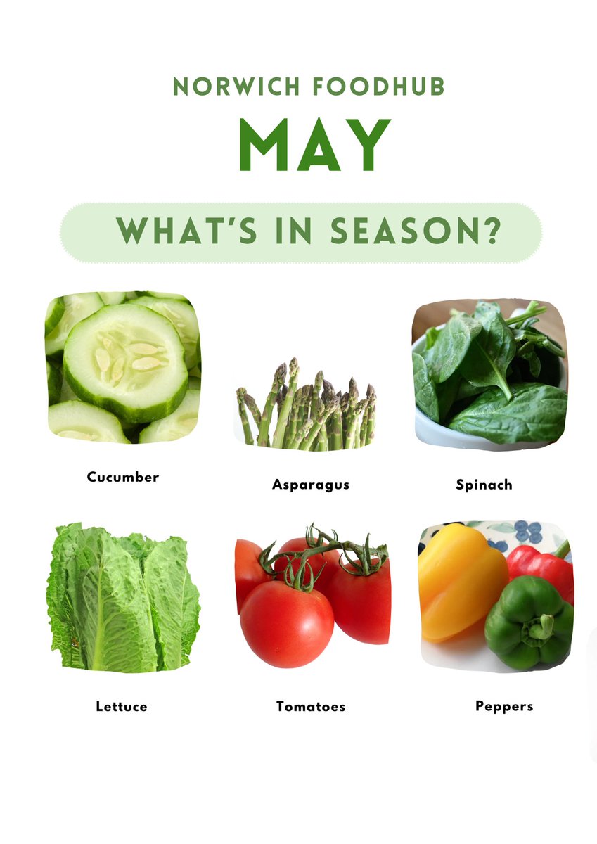 NorwichFoodHub's tweet photo. May: What’s in Season? 🍅

Lots of leafy greens for crunchy salads 🥬

Buying in season can help reduce the risk of food becoming waste before it gets to the shelves.

Any others? Let us know👇#foodwastetips https://t.co/m2CrxnzFKh