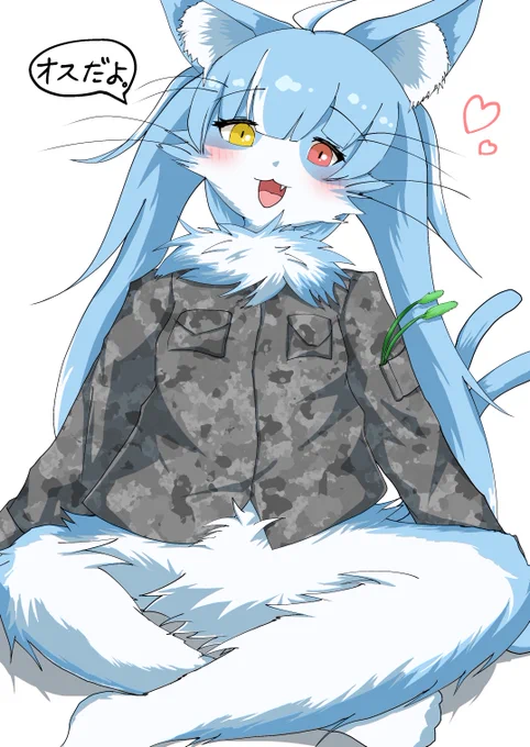おまねこ君、クッソ可愛い  #御前崎分屯基地 #おまねこ
