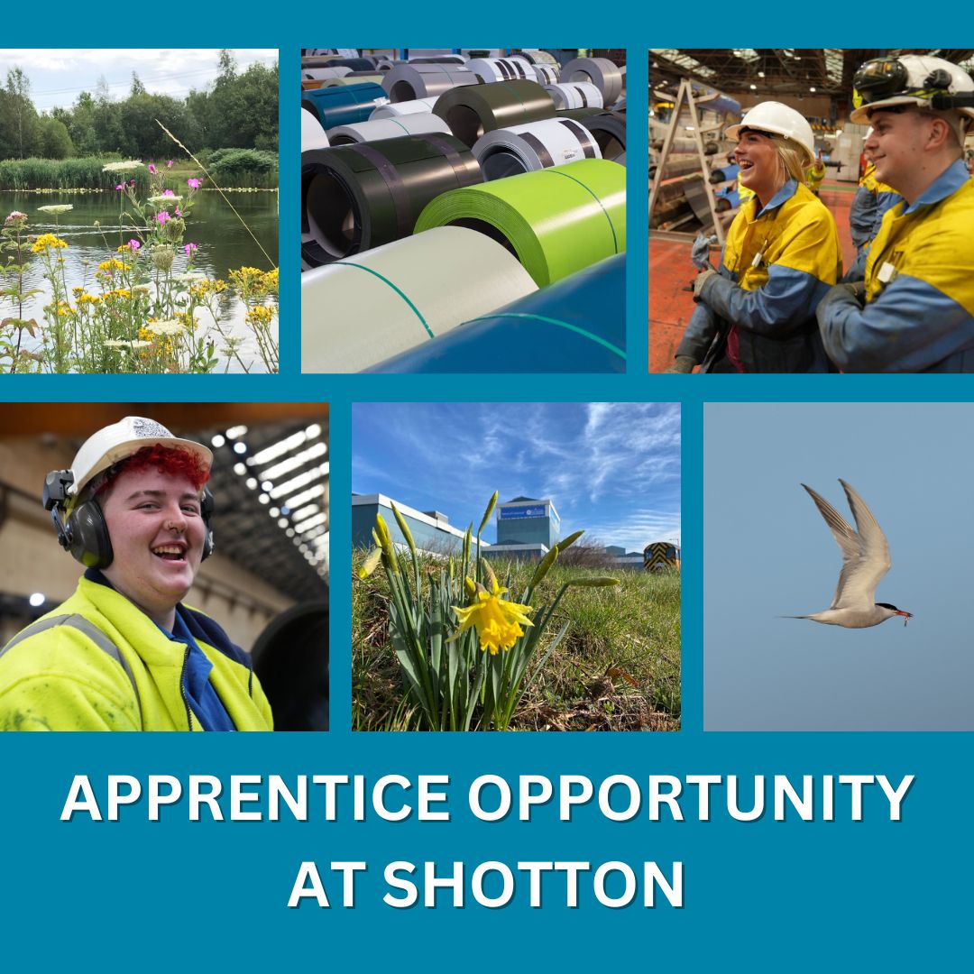 TataSteelUK's tweet photo. We need a 𝗖𝗼𝗺𝗺𝗲𝗿𝗰𝗶𝗮𝗹 𝗔𝗽𝗽𝗿𝗲𝗻𝘁𝗶𝗰𝗲 to join our #steelfamily at 𝗦𝗵𝗼𝘁𝘁𝗼𝗻 𝗪𝗼𝗿𝗸𝘀 - the home of @Colorcoat® - know someone who'd be interested?

 Apply by Sunday 7 May 👉  https://t.co/9XhOK87GNV @colegcambria @DeesideDotCom @FlintshireCC https://t.co/tpd4ZcsEdf
