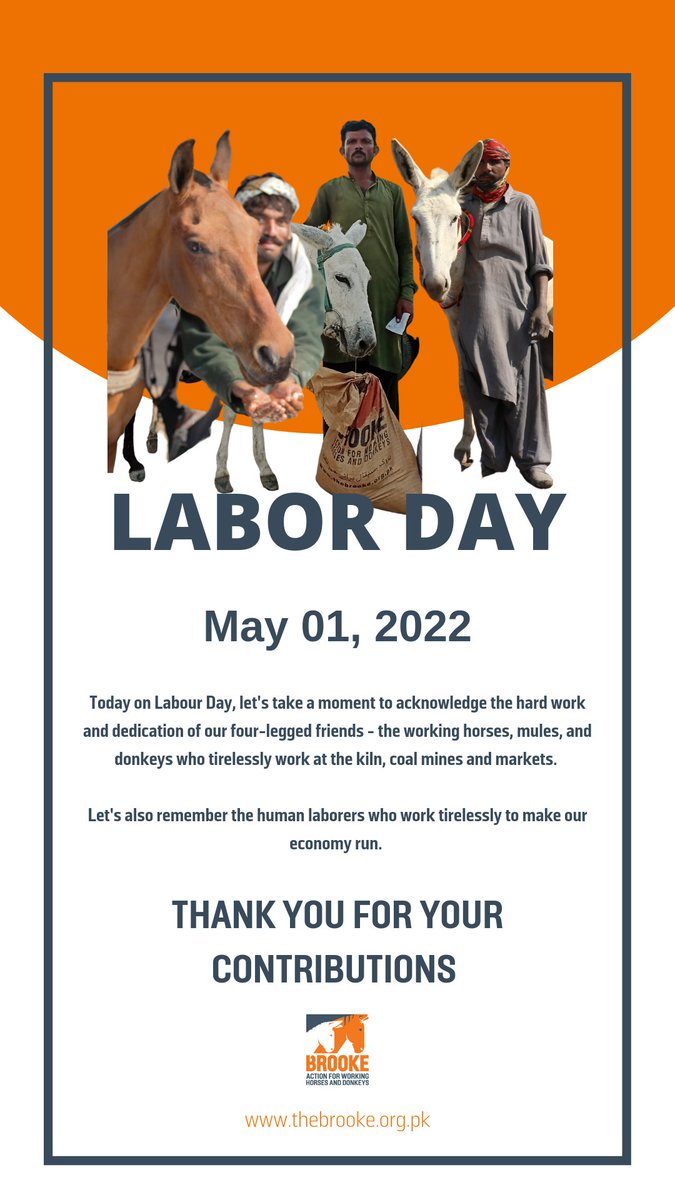BrookePakistan's tweet image. Today on #LabourDay, let's take a moment to acknowledge the hard work &amp;amp; dedication of our four-legged friends.
Let's also remember human laborers at brick kilns &amp;amp; coal mines who work tirelessly to build our nation's economy. 
Thank you !
#WorkingAnimals #HumanLabor #onewelfare