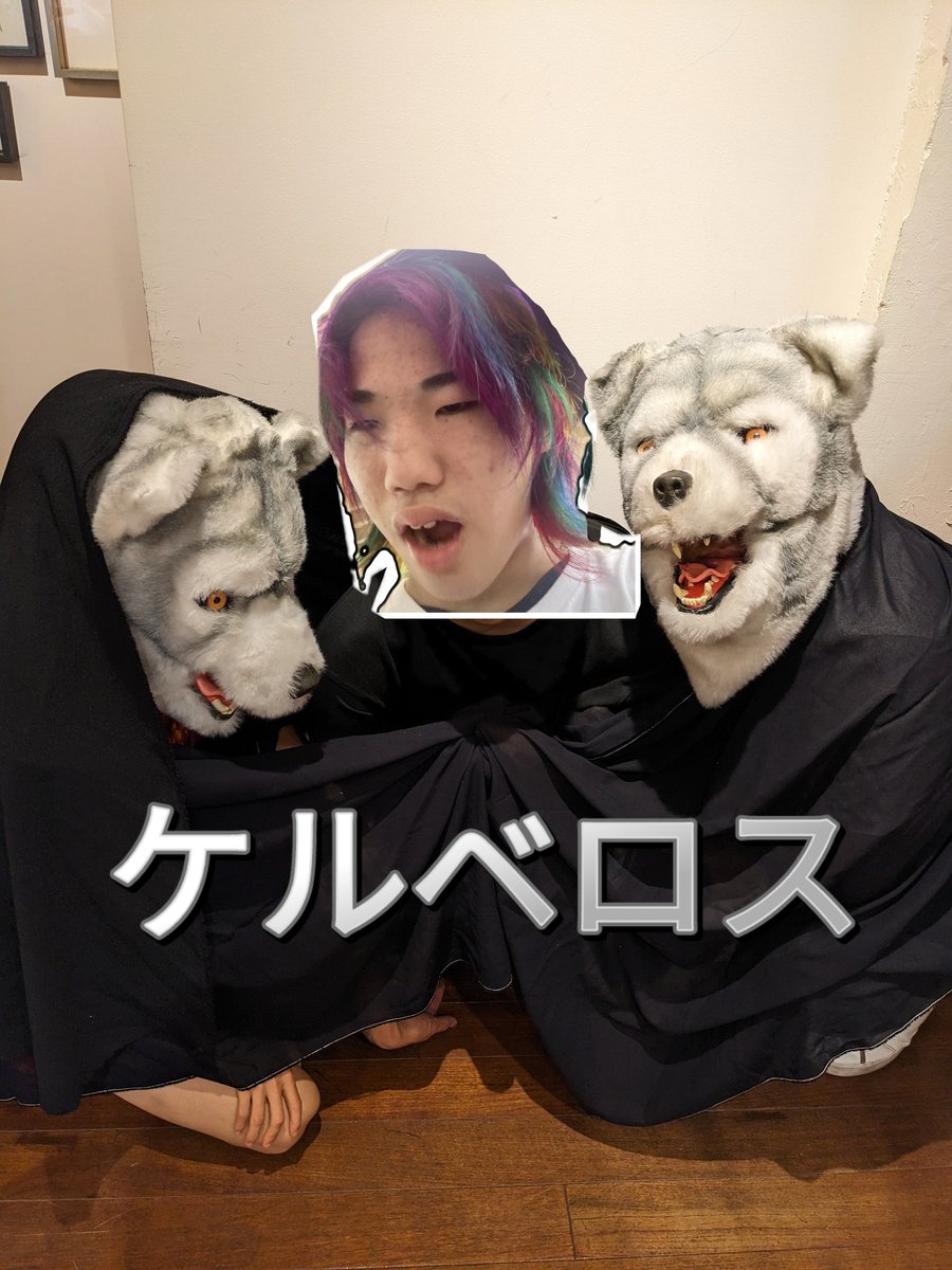 76MsMr182585's tweet photo. Mr.紹介
エントリーNo5 ケルベロス
麻布の門番。門を作ったと言われている。すぐ色んなところに噛み付くのが特徴。
鳴き声は「ポぉぉぉぉぉぉぉぉぉぉぉぉぉぉぉぉぉぉぉぉぉぉぉぉ」 https://t.co/gezJ8qNXz9