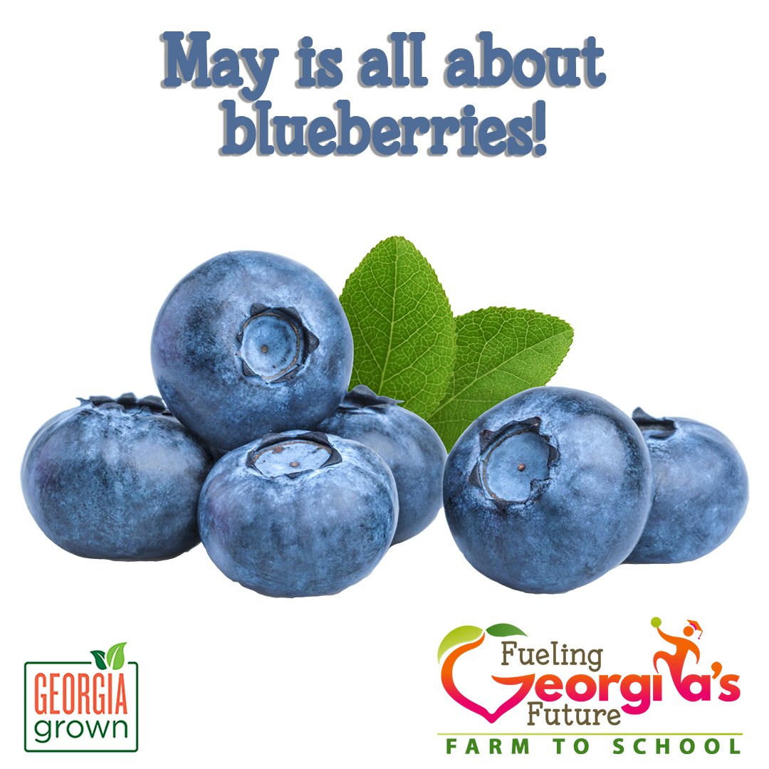 The Georgia Harvest of the Month feature item for May is blueberries.

Visit bit.ly/GaHOTM  to access resources for celebrating #HarvestoftheMonth and growing your #FarmToSchool program. While there check out our #FoodBasedLearning Lessons too!

#FuelingGA #GeorgiaGrown