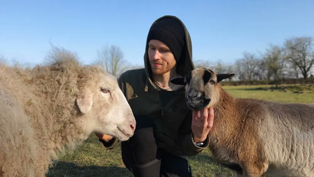 Great to see <a href="/landdertiere/">Land der Tiere</a> – a German sanctuary for rescued animals - using Collabora Online through the services of <a href="/fps_gbg/">Friprogramvarusyndikatet</a> 💜 🐖 

friprogramvarusyndikatet.se/kundberattelse…