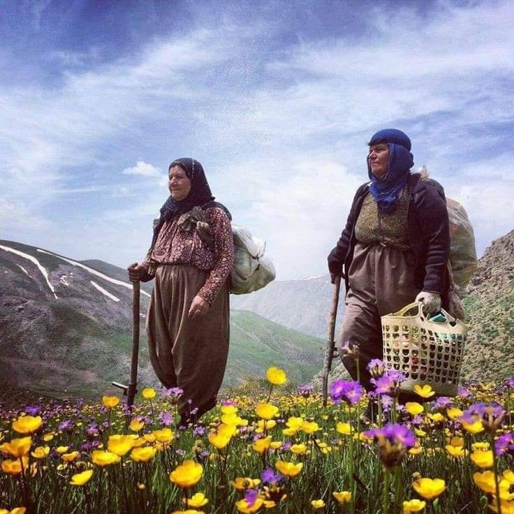 GalanZJ1's tweet photo. Happy International Labour Day! https://t.co/soUqa8nsNd