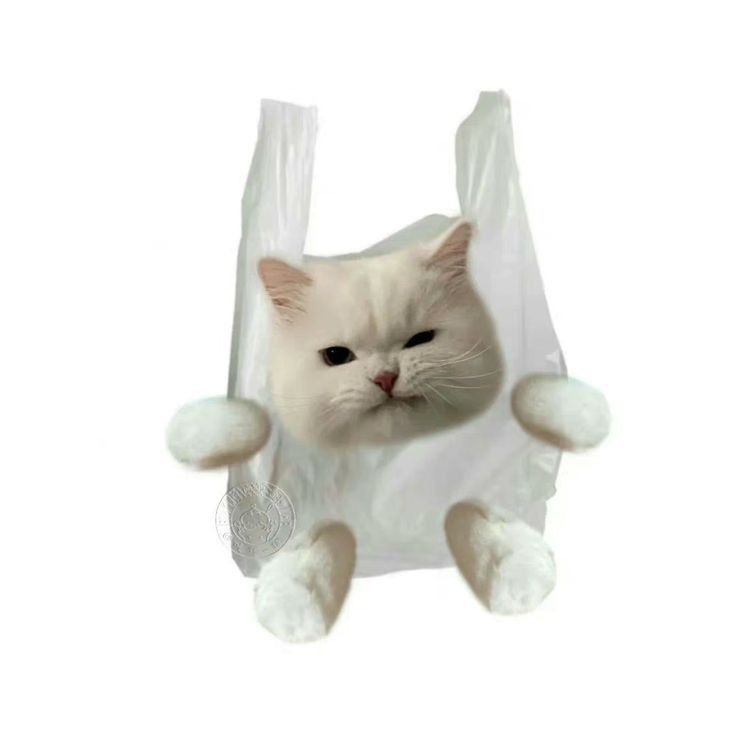 <a href="/usrshimizu/">closed.</a>