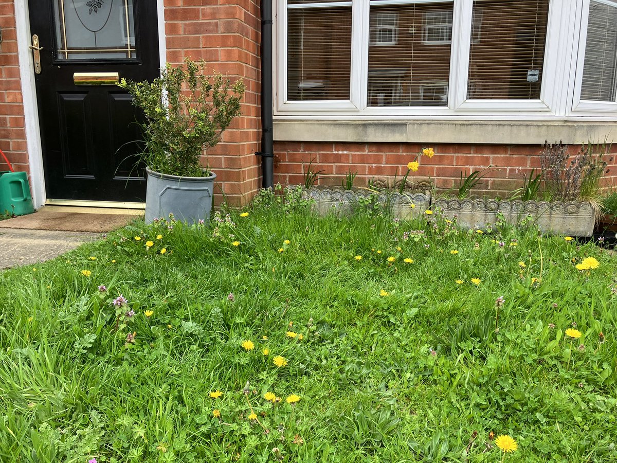 Nicholas Milton tweet media