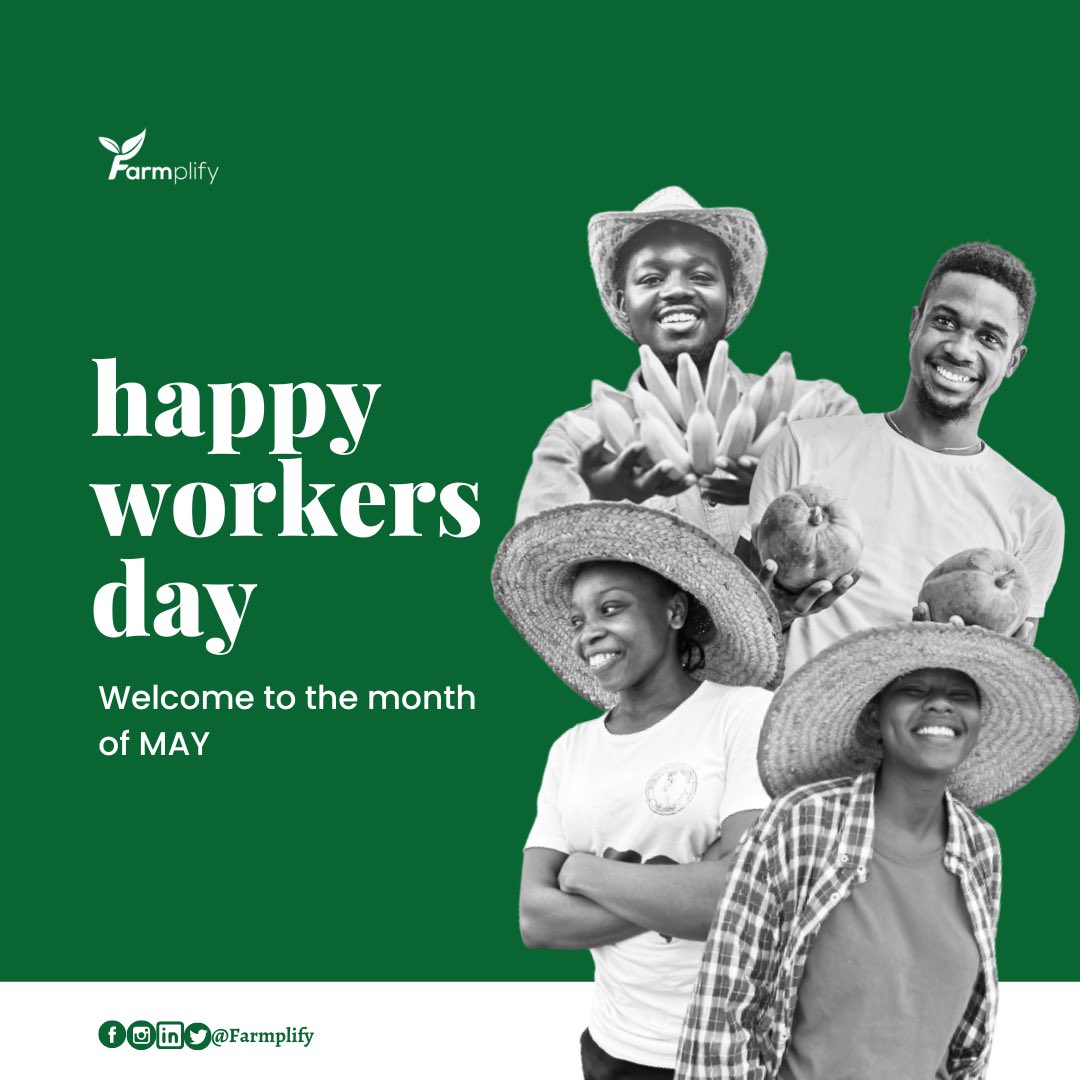 Farmplifyng's tweet photo. Happy Workers' Day and welcome to the month of May Fam🤗
Today, we want to appreciate and celebrate all workers who have been contributing their time and energy to create a great future✨
#farmplify #WorkersDay2023 #WorkersDay #newmonth #MayDay2023 https://t.co/vdaE66hz2i
