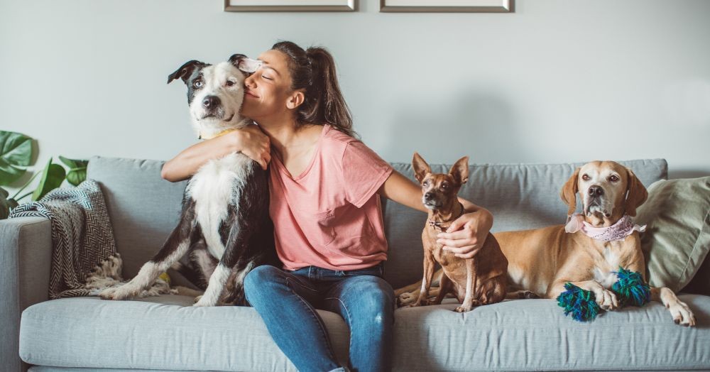 Snapes Estate & Letting Agents (@snapes_) on Twitter photo Are you a homeowner with pets and planning to sell your property? akya.io/644F9Ee361b31?… Are you a homeowner with pets and planning to sell your property? akya.io/644F9Ee361b31?…