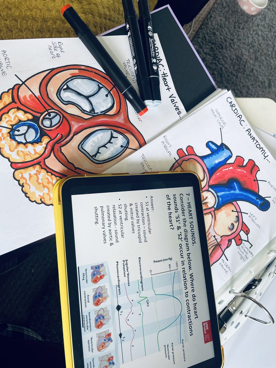 emmawil14437744's tweet photo. When your completing your PACR at masters level and have a BA in product design… please start to stick in my brain 🤯🤯🤯 #nurselife #pacr #patientassssmentandclinicalreasoning  #nurseart #medicalillustration #itunurse @UWE_NAM @UWEhasCPD https://t.co/fYacNcpdqC