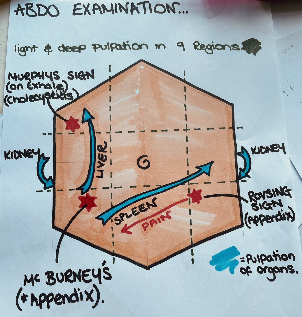emmawil14437744's tweet photo. When your completing your PACR at masters level and have a BA in product design… please start to stick in my brain 🤯🤯🤯 #nurselife #pacr #patientassssmentandclinicalreasoning  #nurseart #medicalillustration #itunurse @UWE_NAM @UWEhasCPD https://t.co/fYacNcpdqC